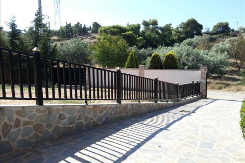 8 dormitorios House en Koropi, Greece No. 59406 8