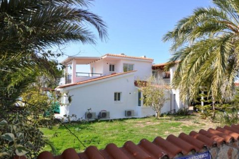 Studio Villa in Paphos, Cyprus No. 105744 5