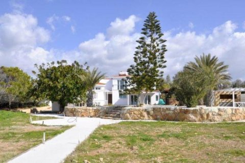 Studio Villa in Paphos, Cyprus No. 105744 3