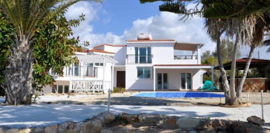 Studio Villa in Paphos, Cyprus No. 105744
