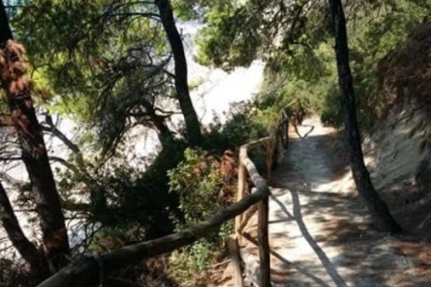 Мезонет с 3 спальнями в Халкидики, Греция №108104 21