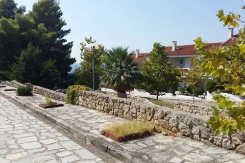 Мезонет с 3 спальнями в Халкидики, Греция №108104 22