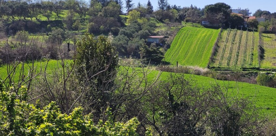 4625m² Land in Thessaloniki, Greece No. 108051