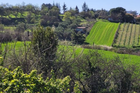 4625m² Land in Thessaloniki, Greece No. 108051