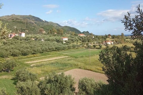 Земельный участок в Закинтос, Греция №28122 11