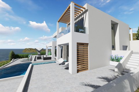 5 bedrooms Villa in Chalkidiki, Greece No. 109647 5