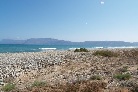 8271m² Land à Chania, Greece No. 24024 5