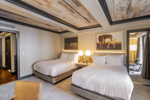 Кондоминиум с 2 спальнями в Эйвон, США №81935 16