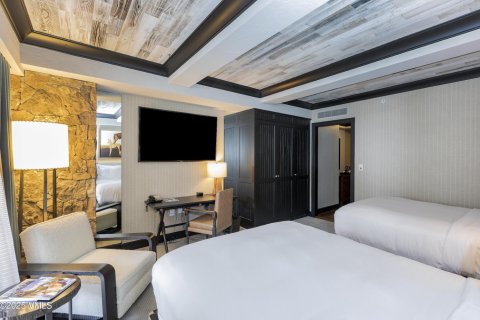 Кондоминиум с 2 спальнями в Эйвон, США №81935 17