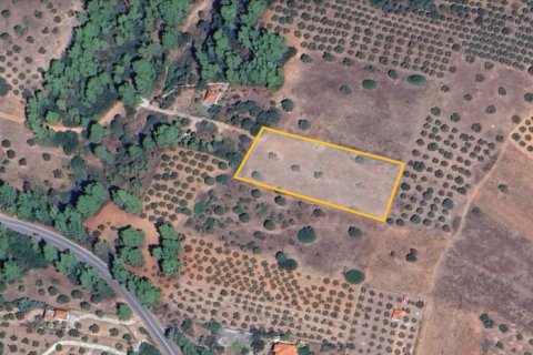 5500m² Land à Chalkidiki, Greece No. 109180 2