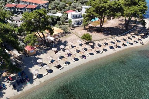 Отель, гостиница с 29 комнатами в Тасос, Греция №109194 7