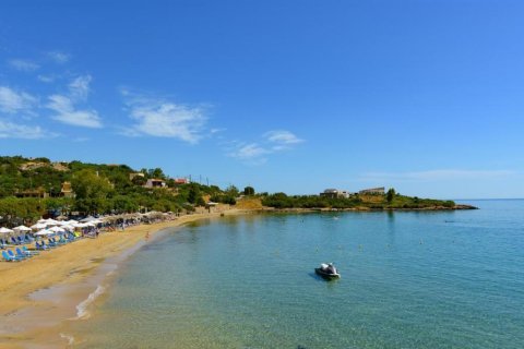 35 rooms Hotel in Agios Nikolaos, Greece No. 59756 1