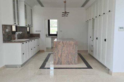 Вилла с 4 спальнями в Пафос, Кипр №30391 6