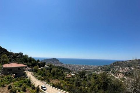 4 rooms Villa in Chau Lang, Vietnam No. 21657 16