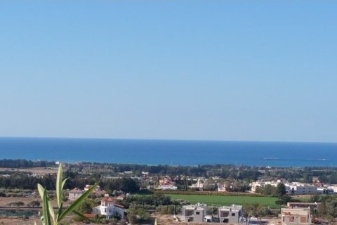 Studio Villa in Paphos, Cyprus No. 106273 6