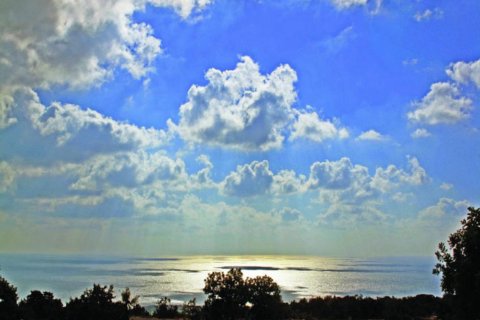 Вилла с 3 комнатами в Пафос, Кипр №105159 5