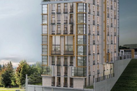 2 bedrooms Apartment in Istanbul, Turkey No. 114395