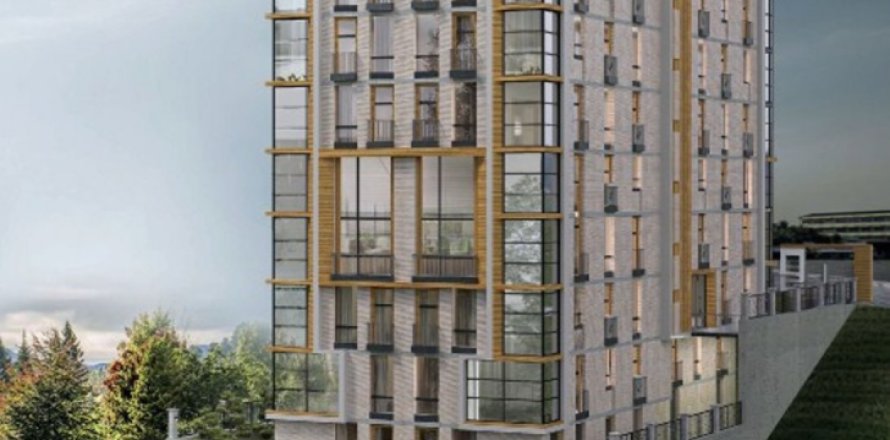 2 bedrooms Apartment in Istanbul, Turkey No. 114395