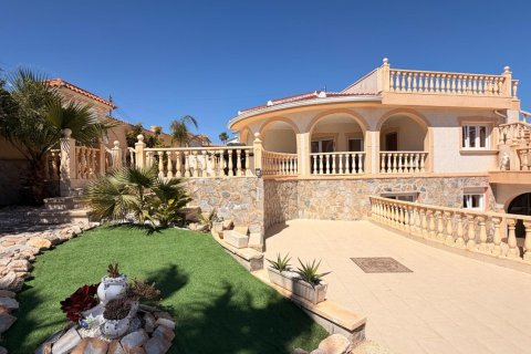 5 bedrooms Villa in Rojales, Spain No. 124837