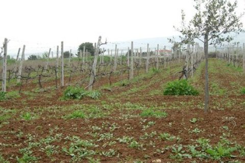 6 dormitorios Villa en Thermaic Gulf, Greece No. 60683 21