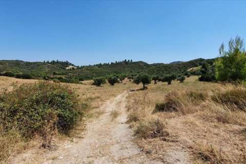 Земельный участок 30000м² в Халкидики, Греция №56511 3