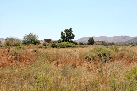 855m² Land in Anavyssos, Greece No. 60187 3