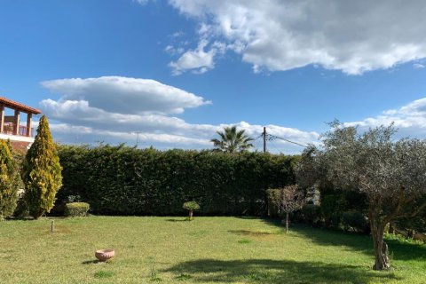 2 bedrooms Villa in Sykamino, Greece No. 56602 9