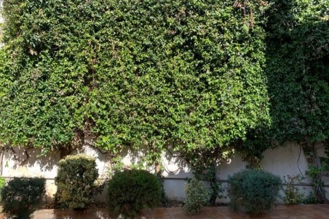 2 bedrooms Villa in Sykamino, Greece No. 56602 12