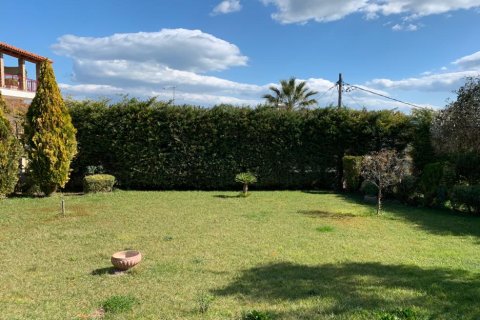 2 bedrooms Villa in Sykamino, Greece No. 56602 11