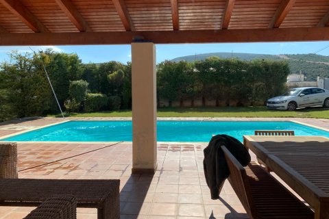 2 bedrooms Villa in Sykamino, Greece No. 56602 6