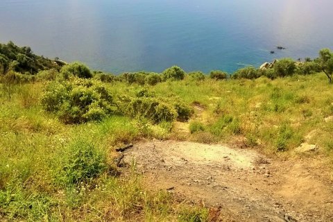 17720m² Land in Chalkidiki, Greece No. 58728 2