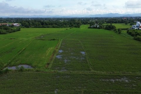 Land in Chiang Mai, Thailand No. 97576 2