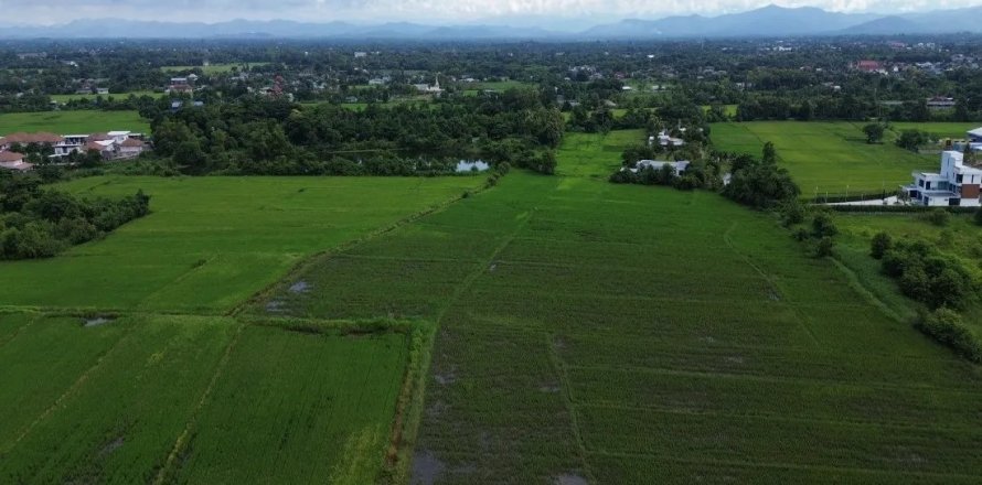 Land in Chiang Mai, Thailand No. 97576