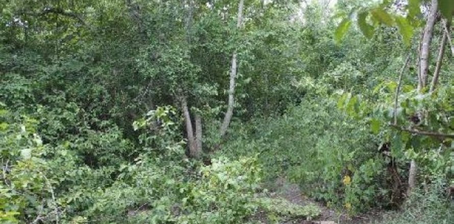 11200m² Land in Cha-am, Thailand No. 95672