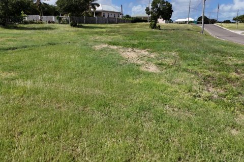 1052m² Land in Willikies, Antigua and Barbuda No. 64955 9