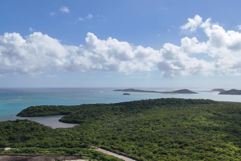 1052m² Land in Willikies, Antigua and Barbuda No. 64955 5