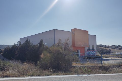948m² Commercial property in Chalkidiki, Greece No. 108962 4