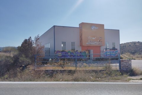 948m² Commercial property in Chalkidiki, Greece No. 108962 3