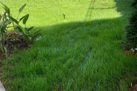 4 bedrooms Villa in Lien Chieu, Vietnam No. 12639 5