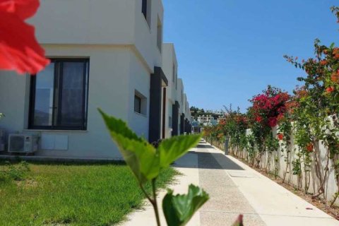 3 bedrooms House in Chloraka, Cyprus No. 30568 4