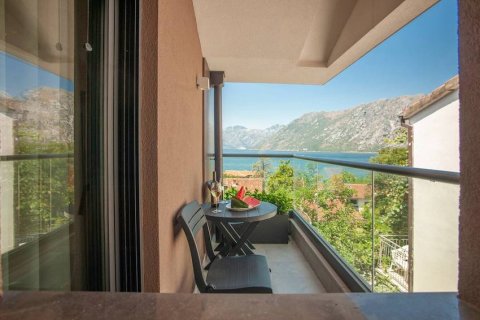 5 bedrooms House in Kotor, Montenegro No. 104725 14
