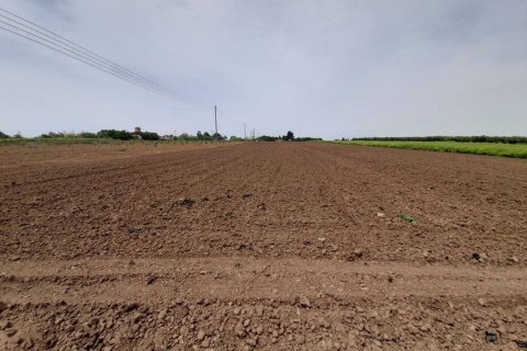 Земельный участок 8628м² в Халкидики, Греция №56020 4