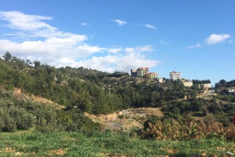 3 rooms Land in Phong Thanh Tay A, Vietnam No. 12750 3