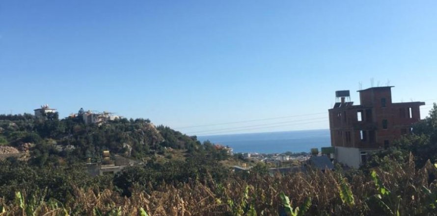 3 rooms Land in Phong Thanh Tay A, Vietnam No. 12750