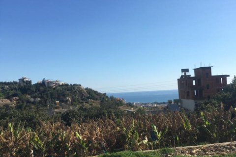 3 rooms Land in Cikcilli, Turkey No. 12750