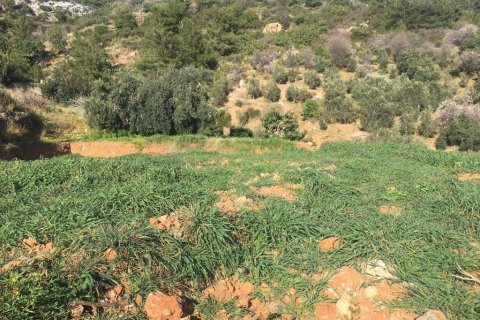 3 rooms Land in Phong Thanh Tay A, Vietnam No. 12750 5