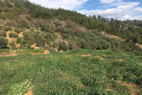 3 rooms Land in Phong Thanh Tay A, Vietnam No. 12750 4