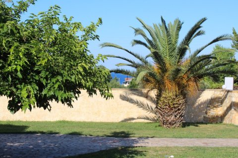 1 bedroom House in Litochoro, Greece No. 107493 16