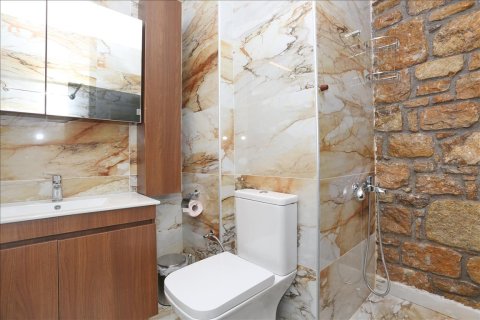 Вилла 210м² в Халкидики, Греция №56453 24