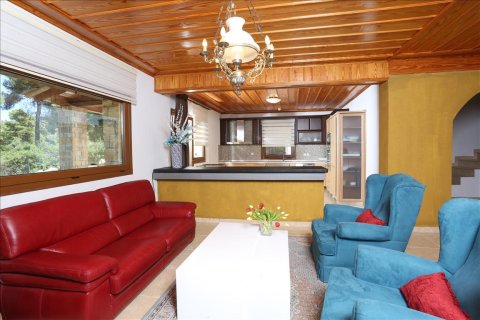 Вилла 210м² в Халкидики, Греция №56453 28